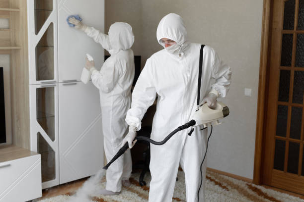 Best Commercial Mold Removal  in Vienna Bend, LA