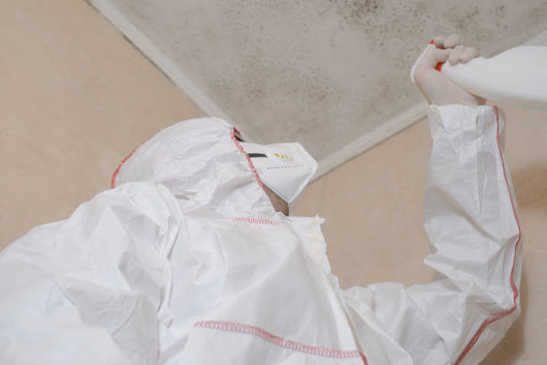 Best Mold Cleaning Services  in Vienna Bend, LA